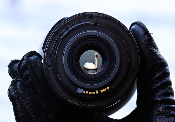 Focus on the flaws of the argument.